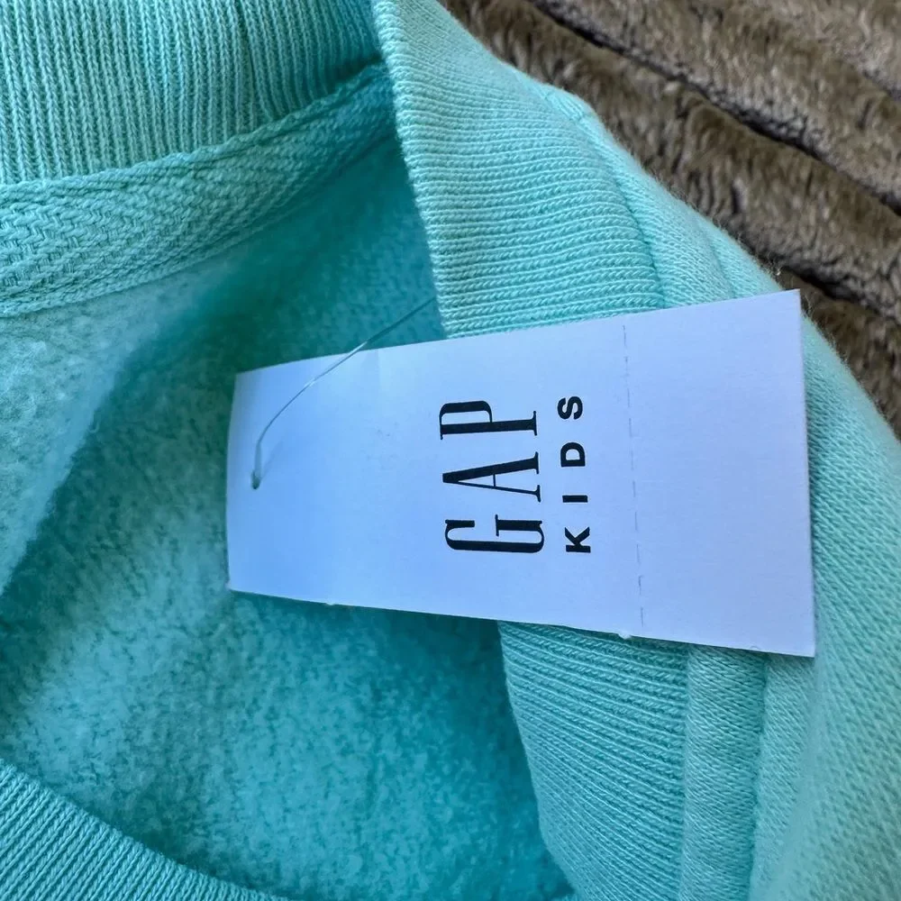 🎉5 for $45🎉 NWT Gap sweatshirt pullover size L